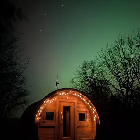 Der Apfel * Holtgast