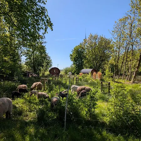 Der Apfel * Holtgast