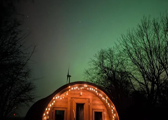 Der Apfel * Holtgast