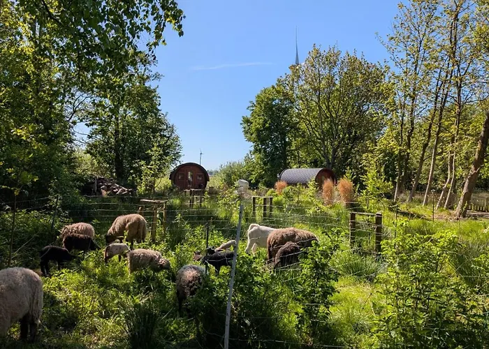 Der Apfel * Holtgast