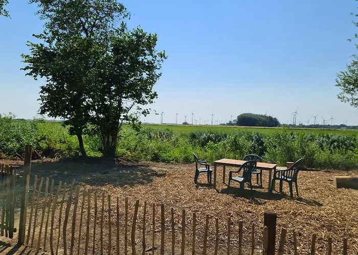 Der Apfel * Holtgast