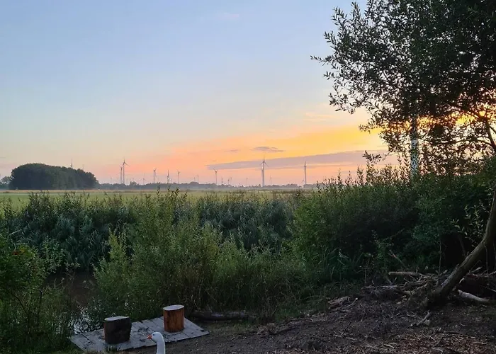 Der Apfel * Holtgast